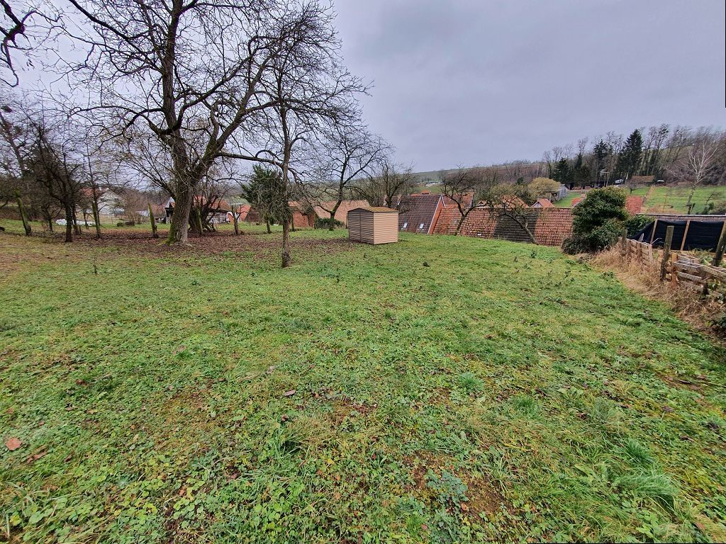 Ferme ETTENDORF (67350) ALPHA PATRIMOINE