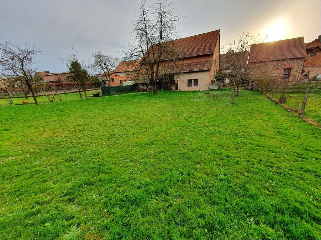 Ferme ETTENDORF (67350) ALPHA PATRIMOINE