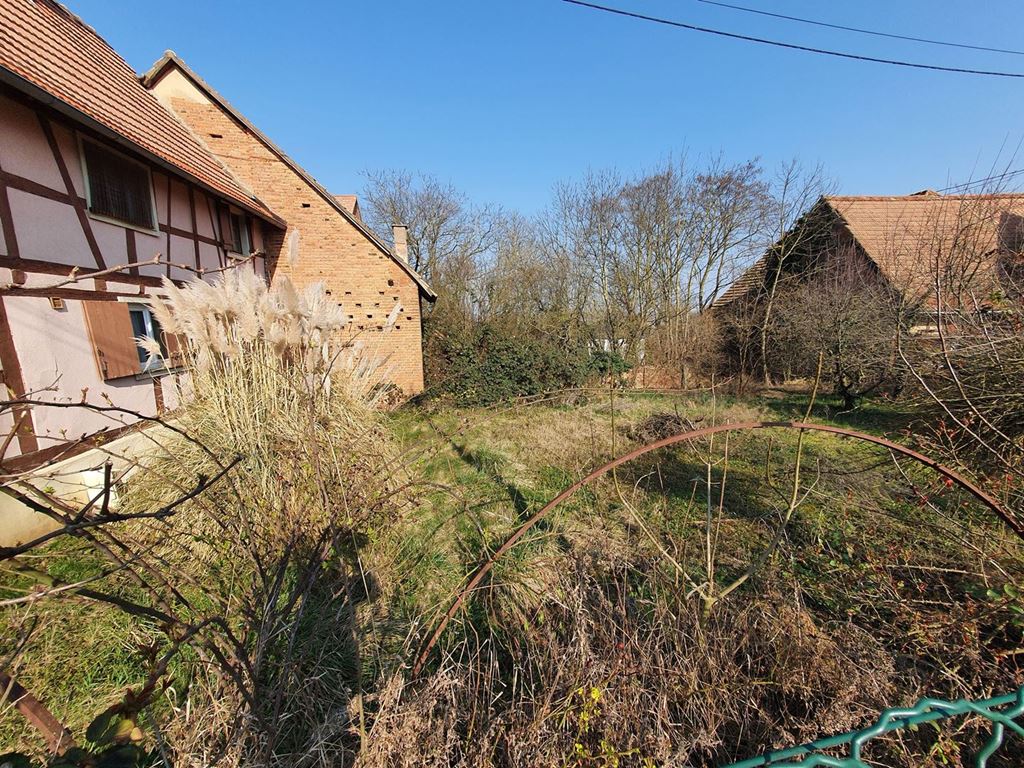 Corps de ferme WALTENHEIM SUR ZORN (67670) ALPHA PATRIMOINE