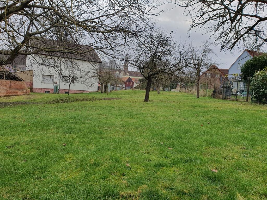 Terrain MUTZENHOUSE (67270) ALPHA PATRIMOINE