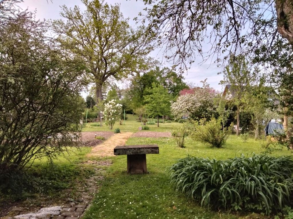 Maison WICKERSHEIM WILSHAUSEN (67270) ALPHA PATRIMOINE