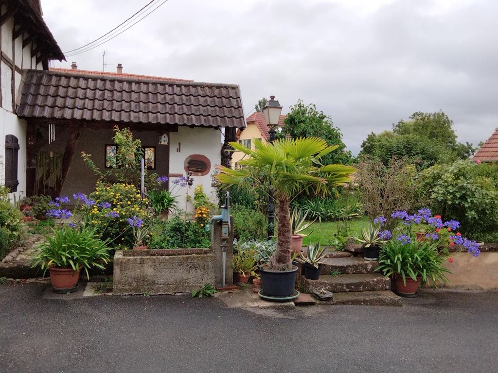Maison WICKERSHEIM WILSHAUSEN (67270) ALPHA PATRIMOINE