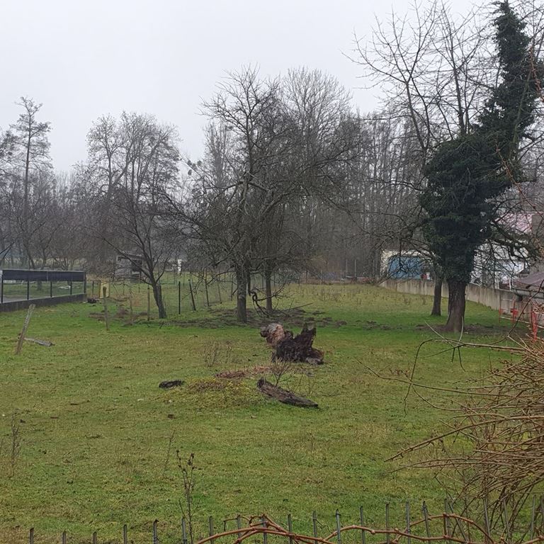 Terrain OTTERSWILLER (67700) ALPHA PATRIMOINE