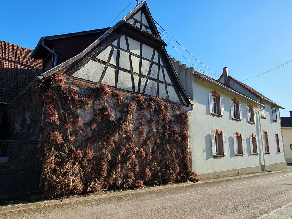 Maison traditionnelle WICKERSHEIM WILSHAUSEN (67270) ALPHA PATRIMOINE