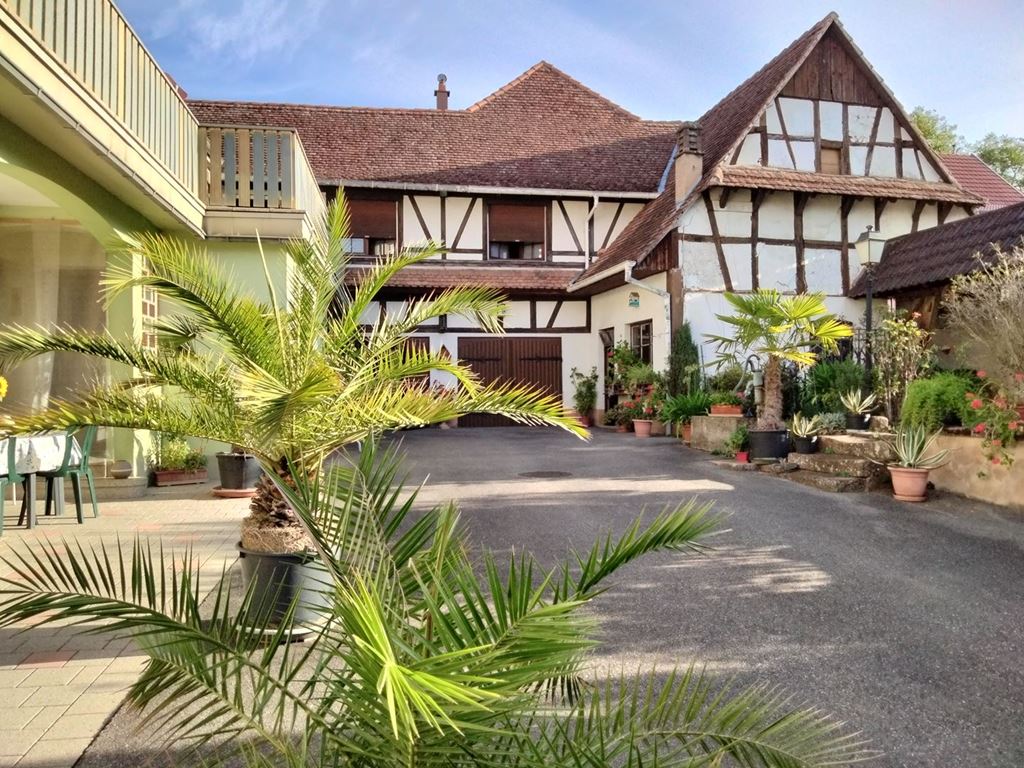 Maison traditionnelle WICKERSHEIM WILSHAUSEN (67270) ALPHA PATRIMOINE
