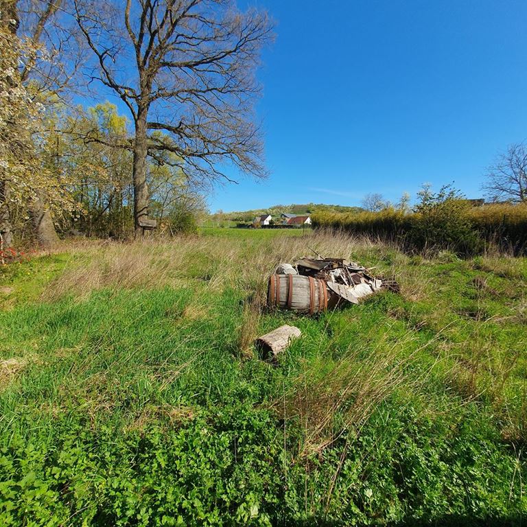 Terrain LIXHAUSEN (67270) ALPHA PATRIMOINE