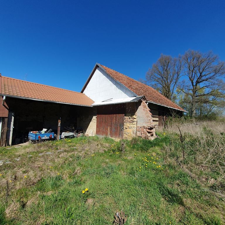 Terrain LIXHAUSEN (67270) ALPHA PATRIMOINE