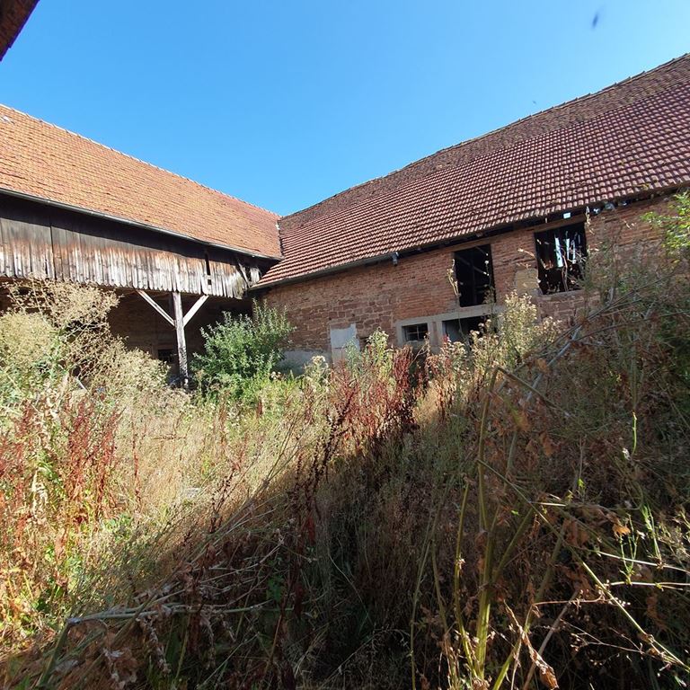 Corps de ferme LIXHAUSEN (67270) ALPHA PATRIMOINE