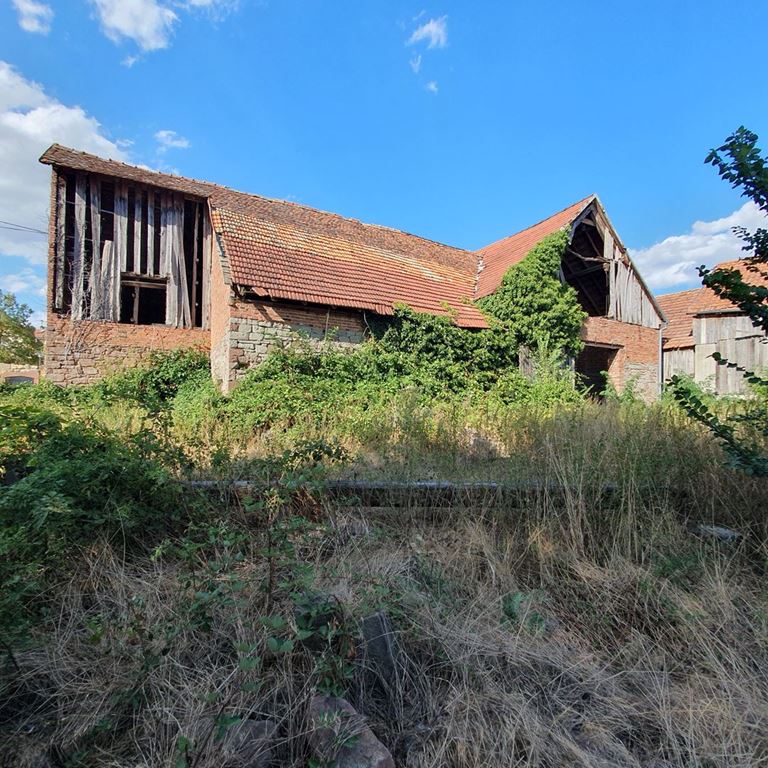 Corps de ferme LIXHAUSEN (67270) ALPHA PATRIMOINE
