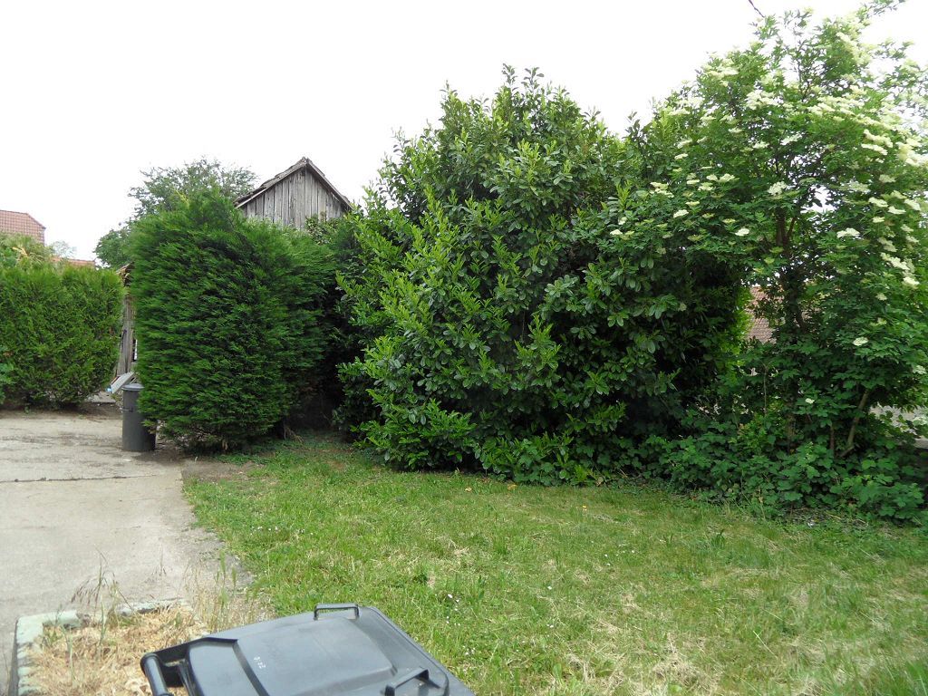 Maison DUNTZENHEIM (67270) ALPHA PATRIMOINE